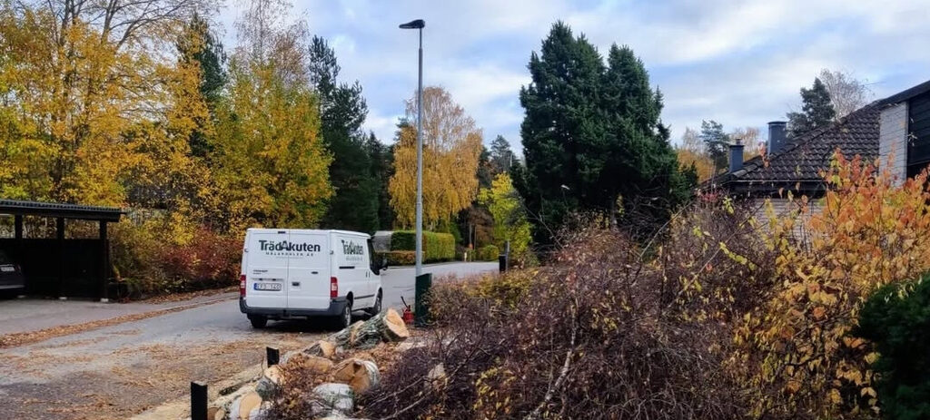 Trädfällning Hallstahammar